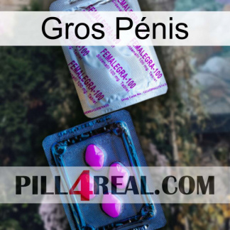 Gros Pénis 37